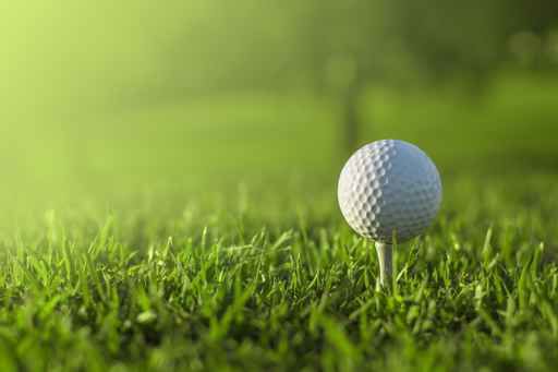 Golf (copy)